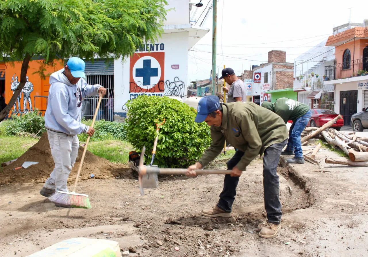 WhatsApp Image 2025-09-08 at 3.52.53 PM