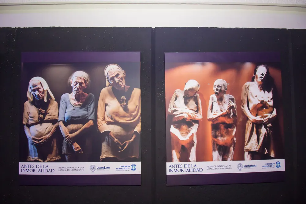 WhatsApp Image 2024-01-16 at 15.24.22 (1)