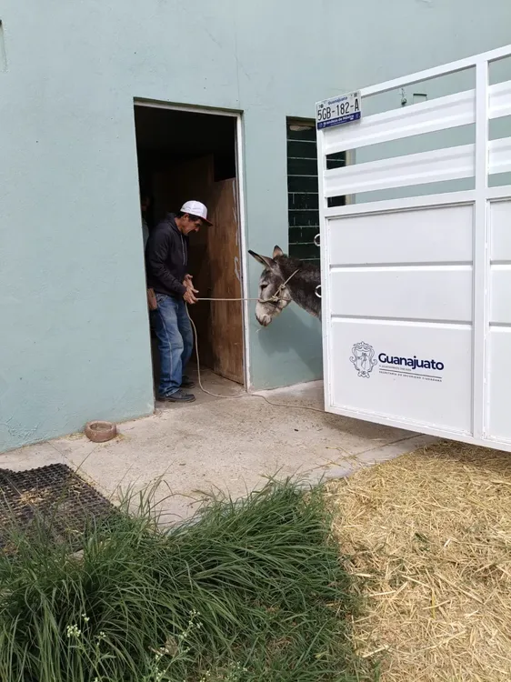 WhatsApp Image 2024-12-19 at 19.24.12