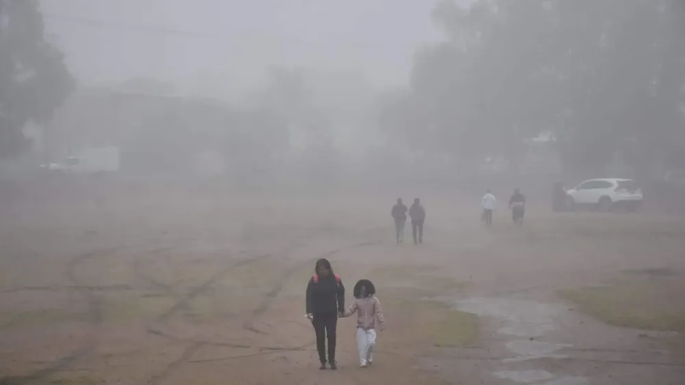 Frío y neblina en Irapuato OEM-Informex