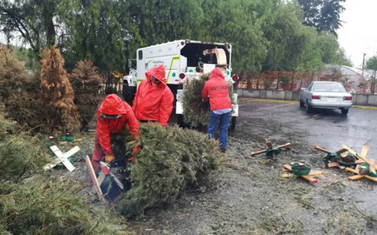 WhatsApp Image 2026-01-07 at 13.03.44