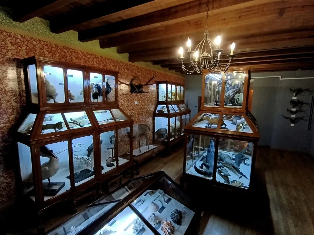 Museo_Alfredo_Dugès_(UG)