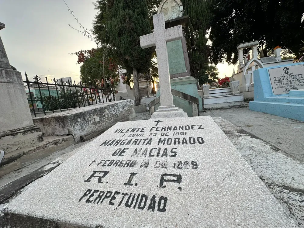 WhatsApp Image 2024-10-29 at 18.04.34