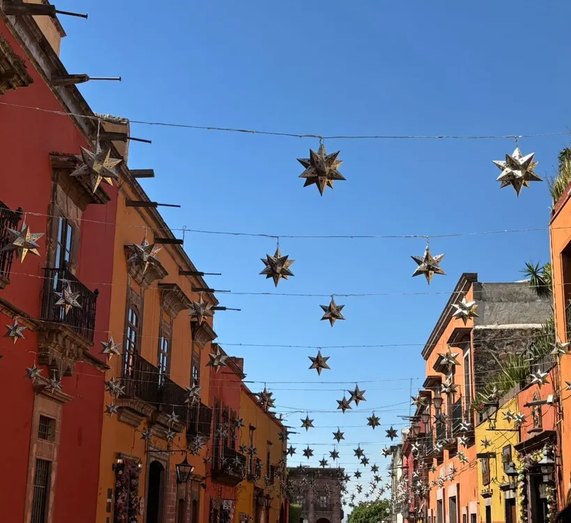 WhatsApp Image 2024-12-04 at 17.41.07