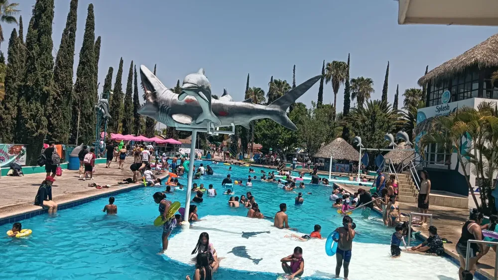 WhatsApp Image 2025-04-19 at 3.37.15 PM