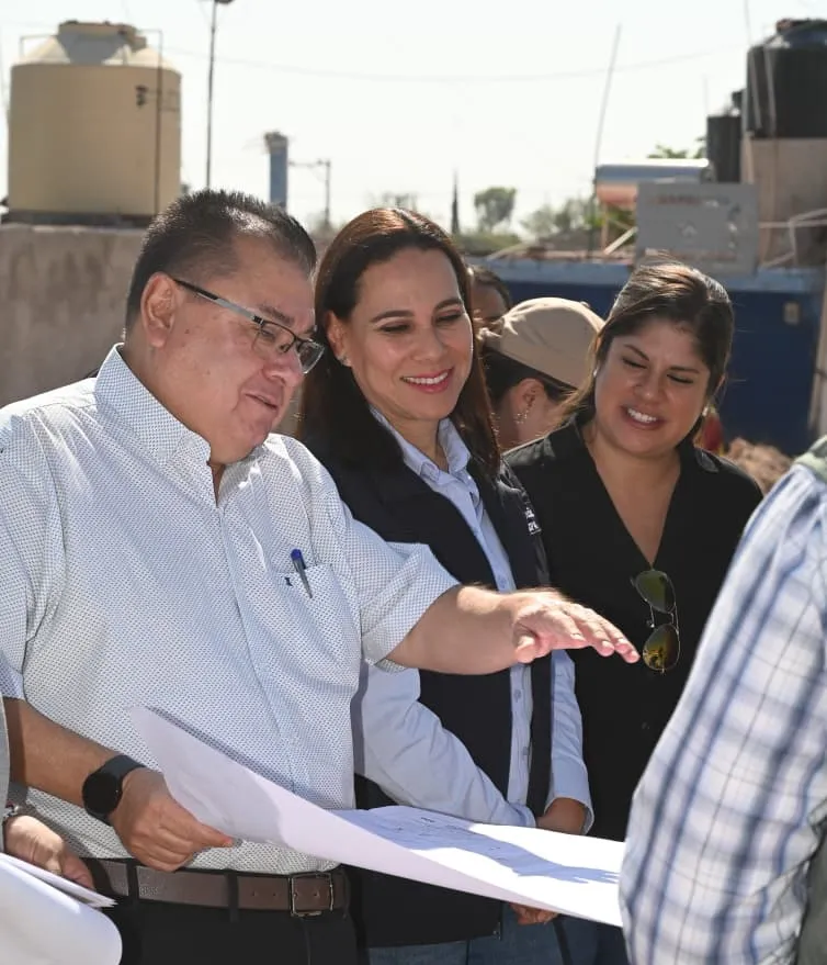 WhatsApp Image 2026-01-07 at 14.33.57