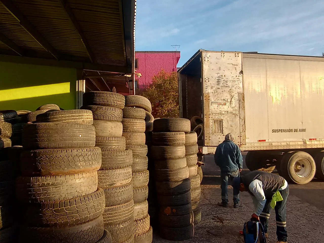 WhatsApp Image 2026-01-20 at 16.29.54