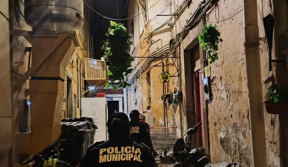 WhatsApp Image 2024-12-08 at 15.34.16