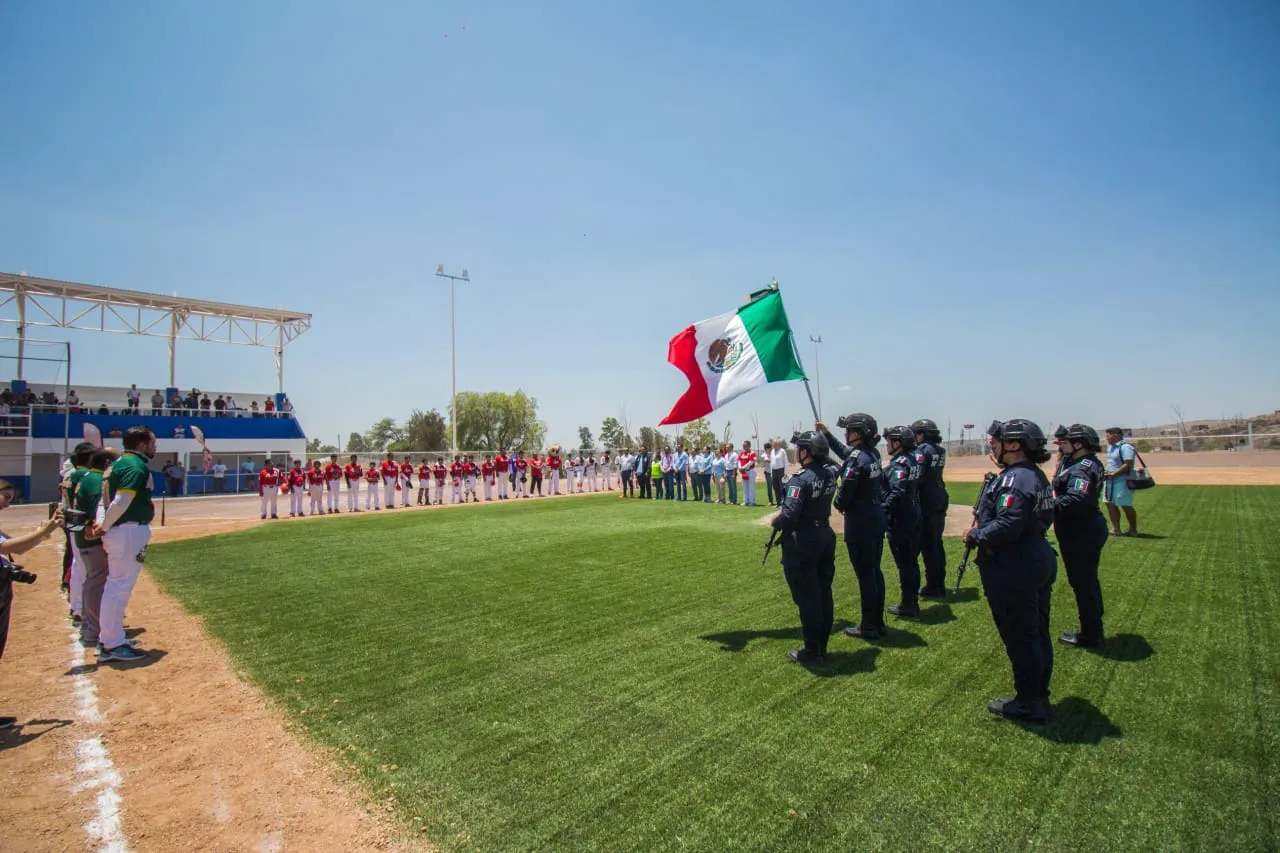 WhatsApp Image 2024-10-06 at 15.24.47