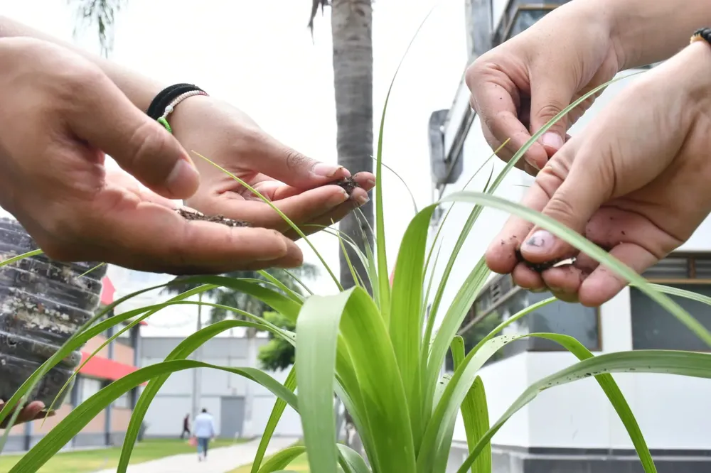 435464711_757783499794164_6811239769575750948_n