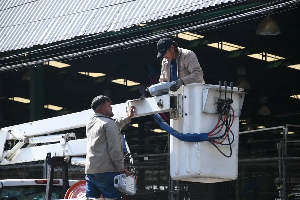 WhatsApp Image 2026-01-19 at 09.30.20