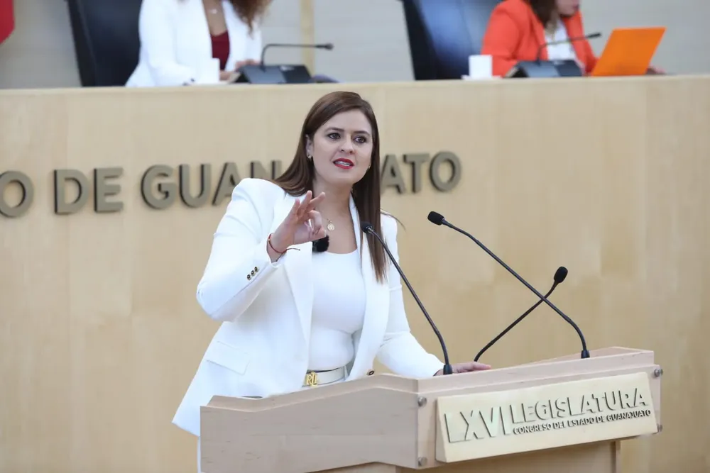 WhatsApp Image 2024-11-28 at 13.13.11