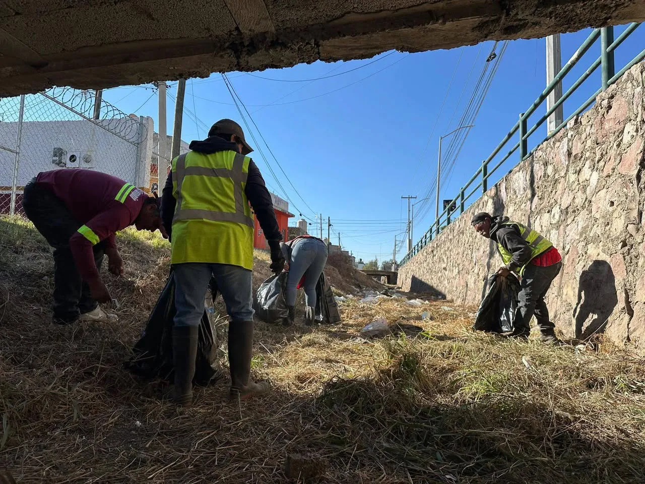retiran media tonelada silao