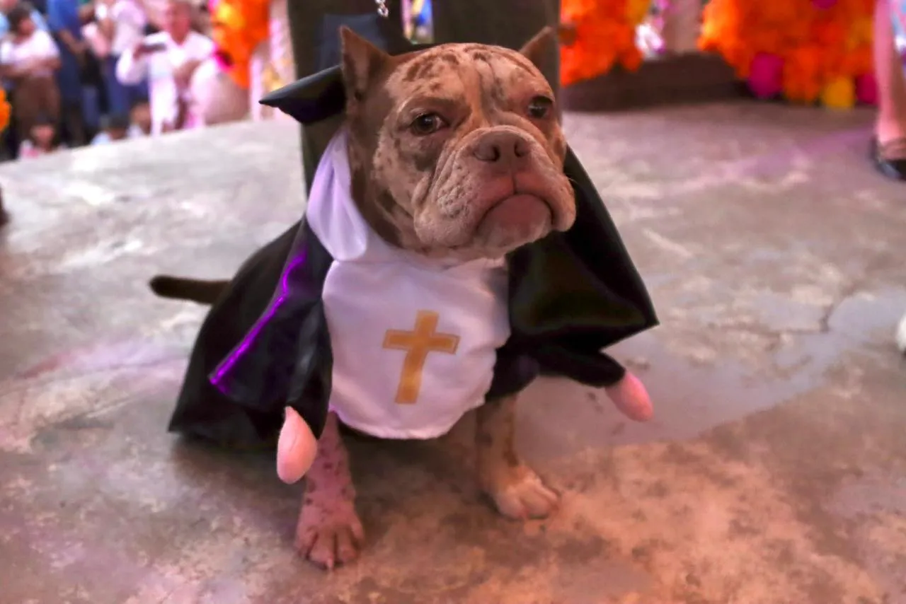 WhatsApp Image 2025-10-26 at 19.06.51