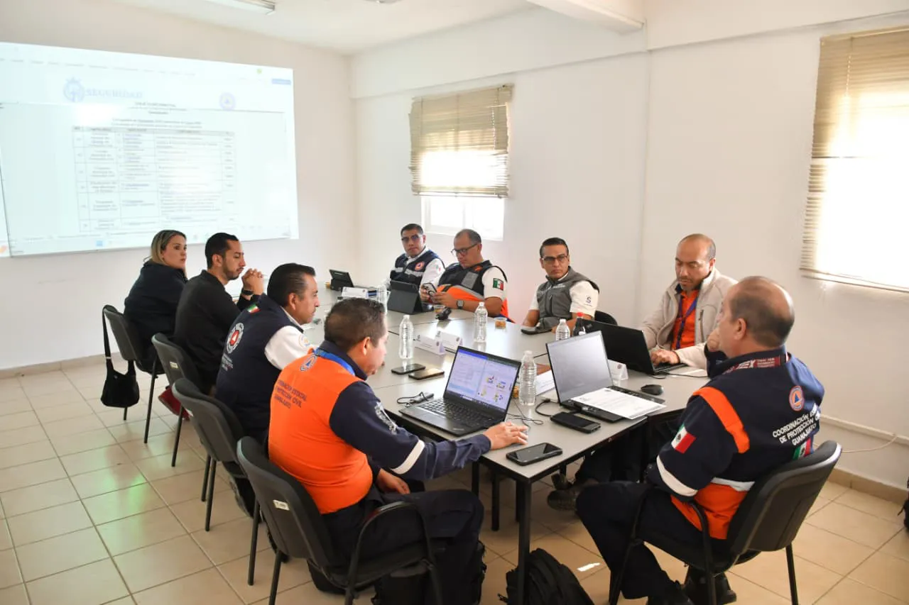 WhatsApp Image 2026-02-04 at 15.55.11