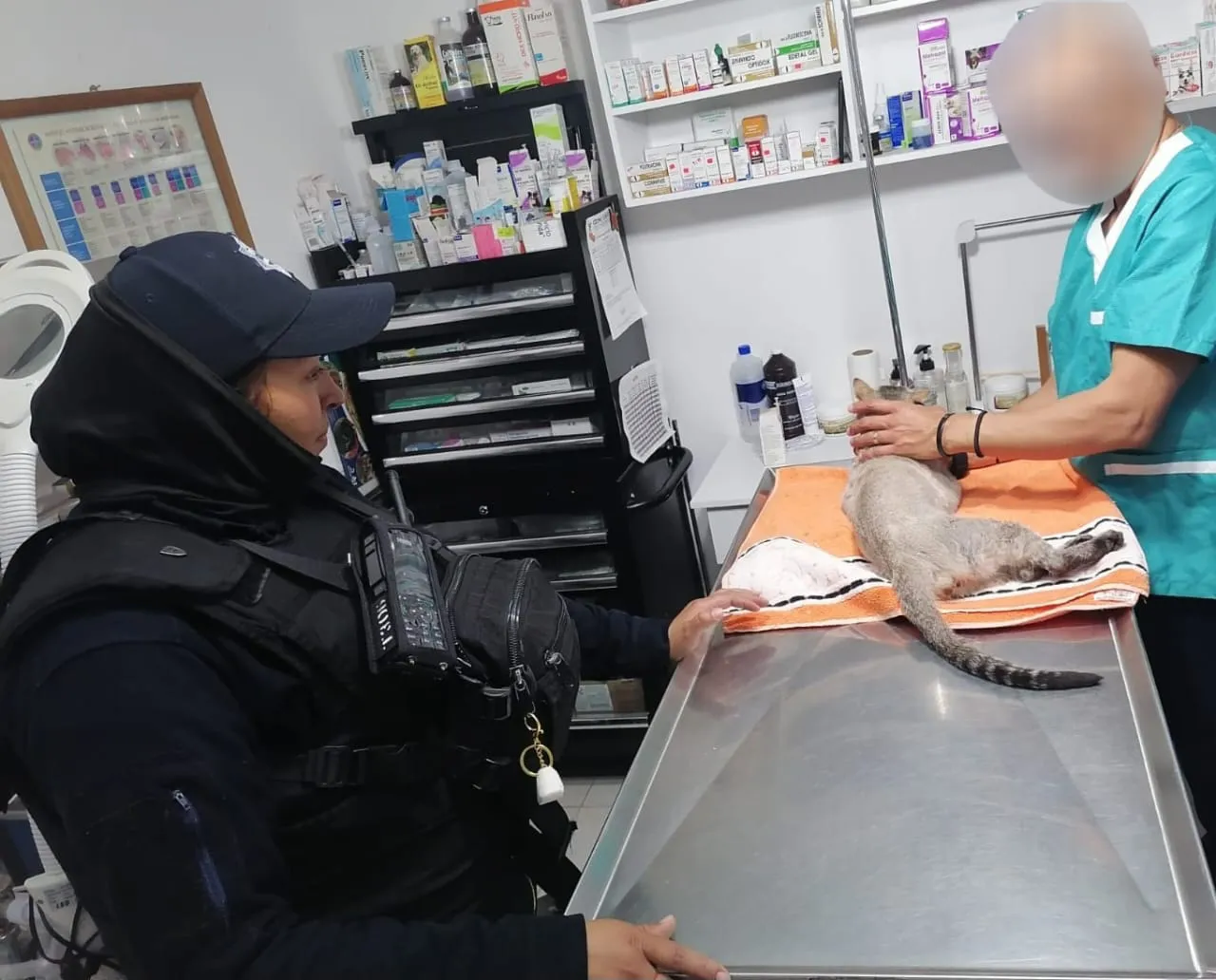 WhatsApp Image 2024-04-02 at 14.35.00