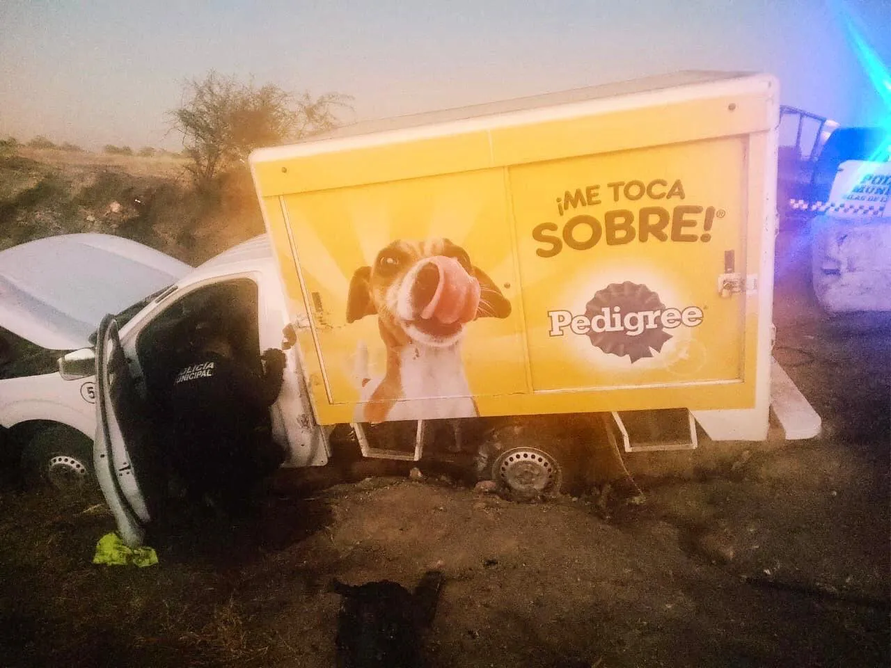 WhatsApp Image 2024-11-28 at 16.57.18