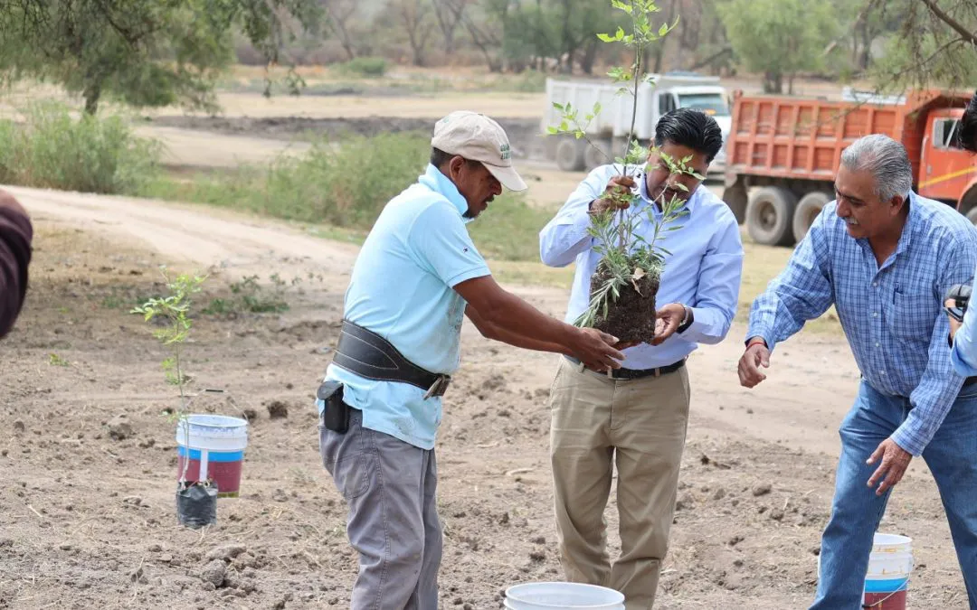 WhatsApp-Image-2025-05-29-at-10.57.17-1-1080x675