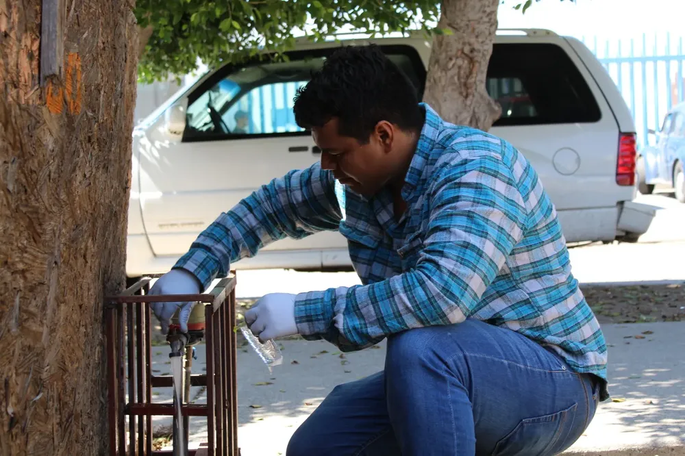 WhatsApp Image 2025-05-02 at 8.56.52 PM