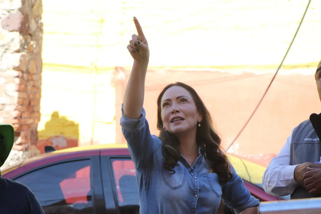 WhatsApp Image 2026-02-16 at 11.52.16