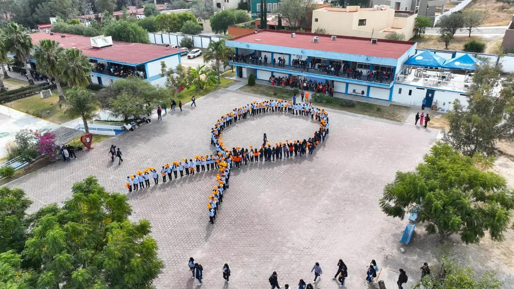 WhatsApp Image 2025-11-25 at 15.59.31