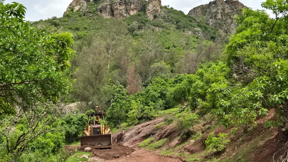 WhatsApp Image 2024-07-25 at 14.59.49