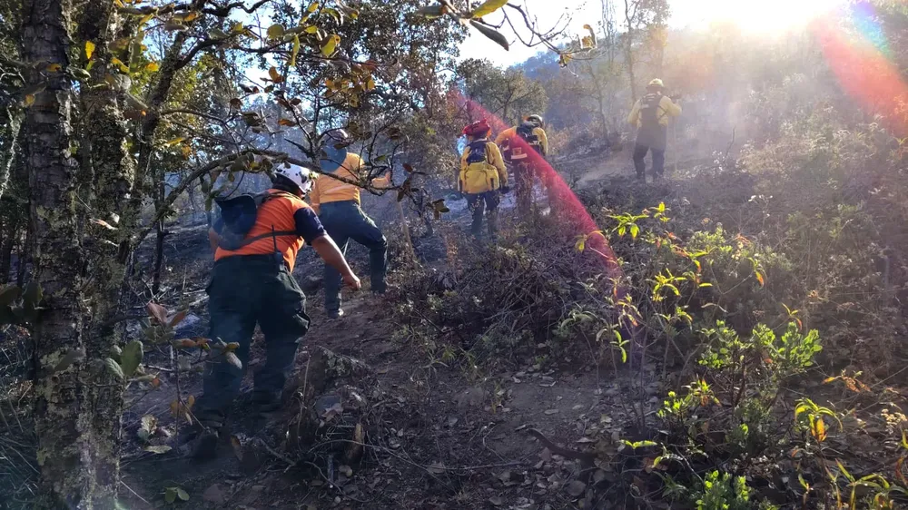 f51a619c-8eae-46ec-b1e9-00e47299d788