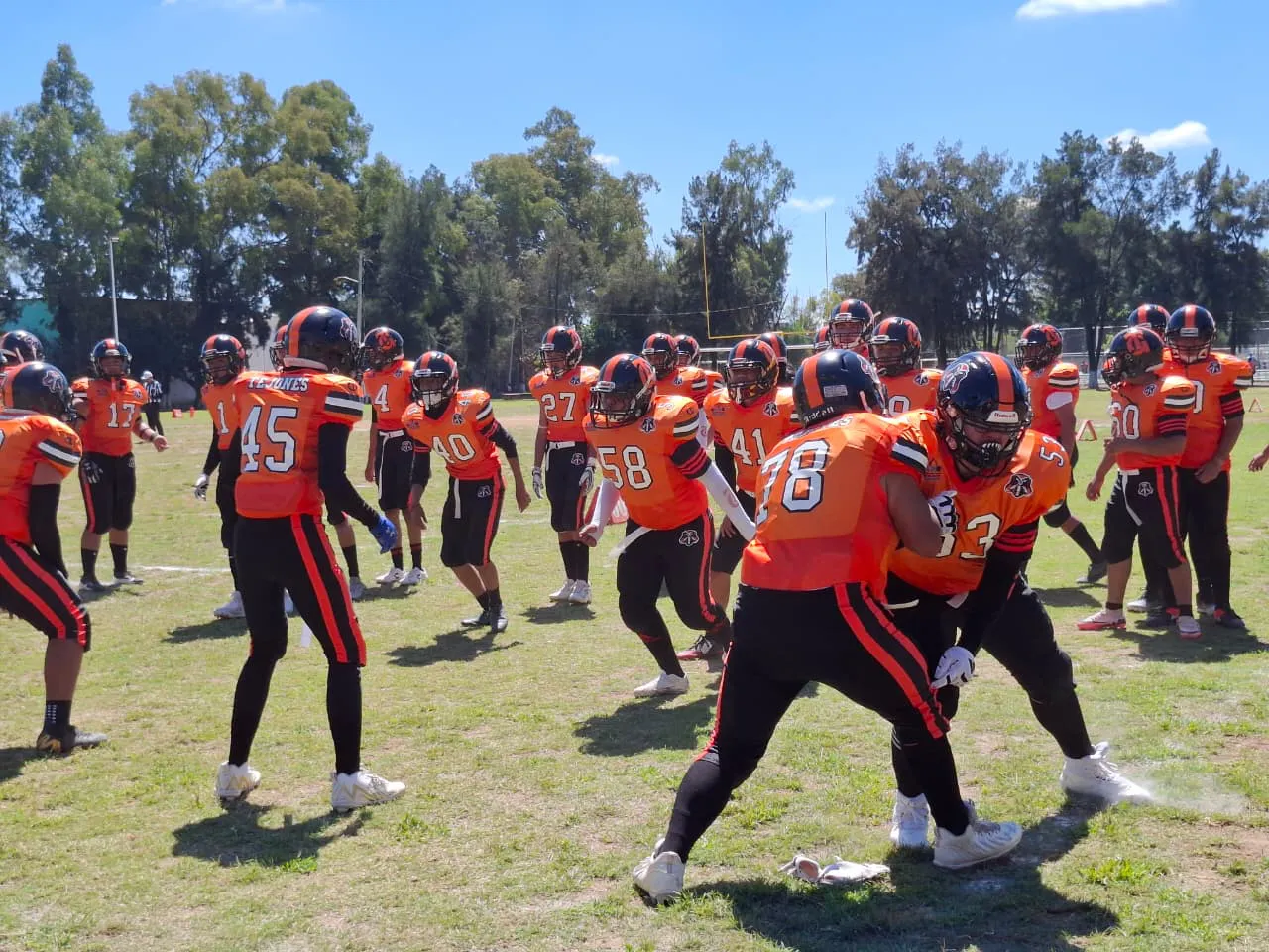 WhatsApp Image 2025-10-12 at 13.28.57