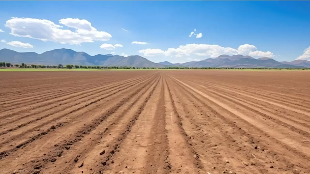 tierra-seguro.jpg