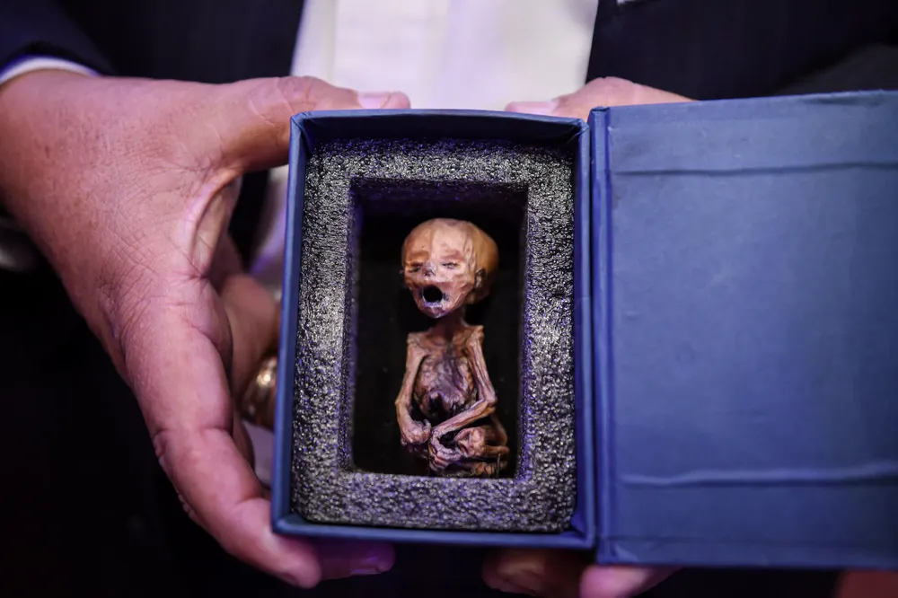 WhatsApp Image 2024-01-23 at 15.56.26