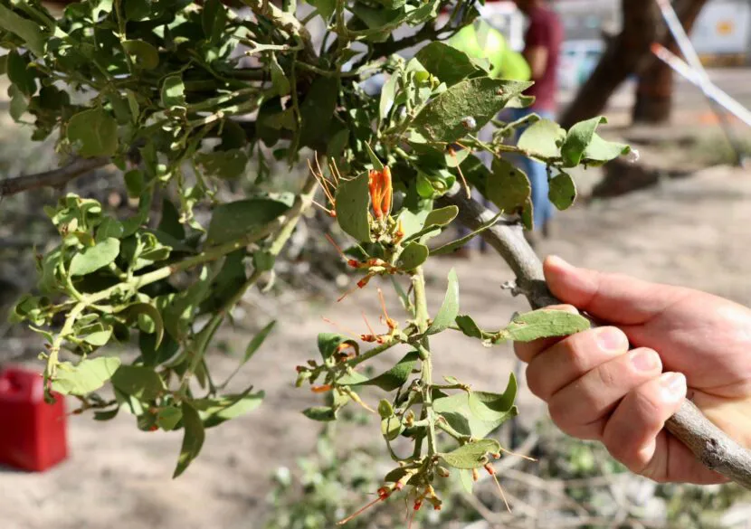 406961492_686527626919752_7117946426094998876_n-830x585