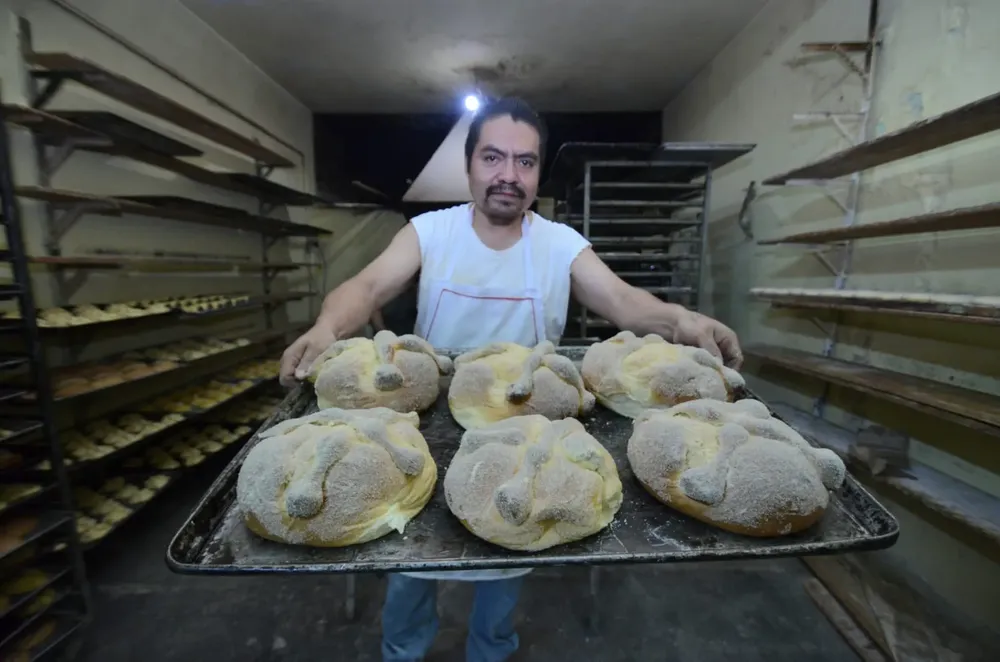 WhatsApp Image 2024-10-24 at 17.11.31