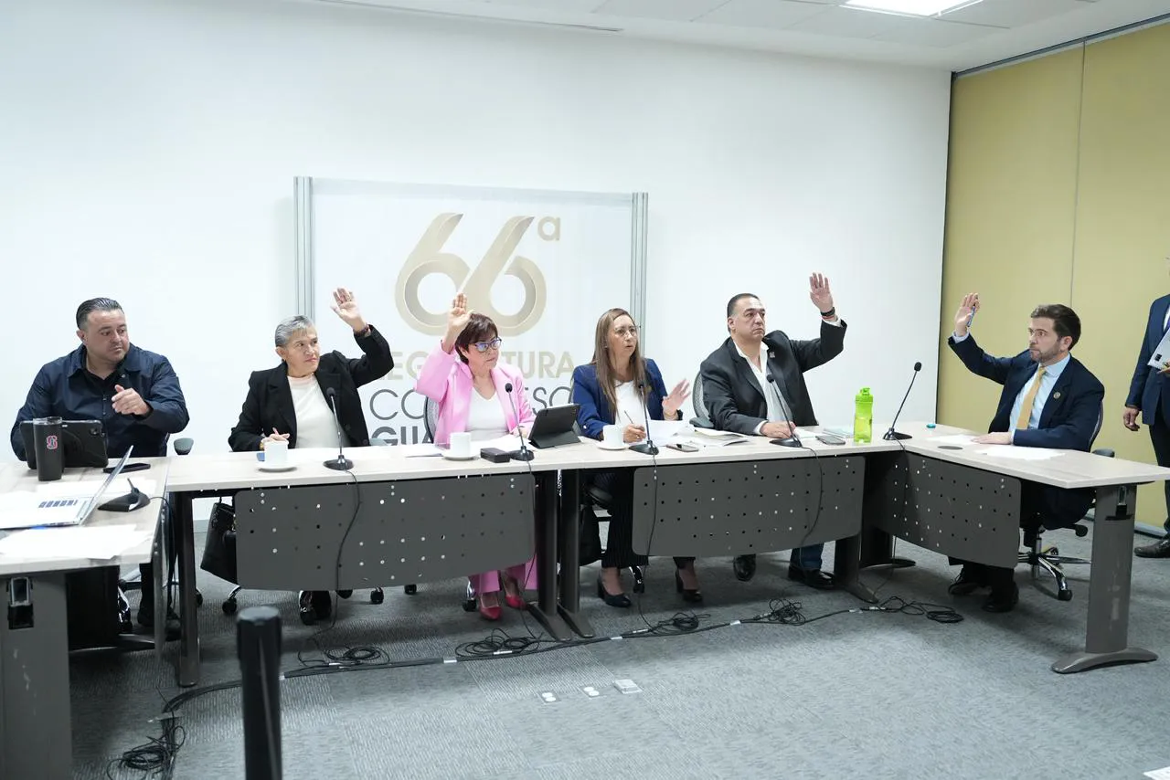 79bade1b-469f-47d3-a202-f5905ab68356