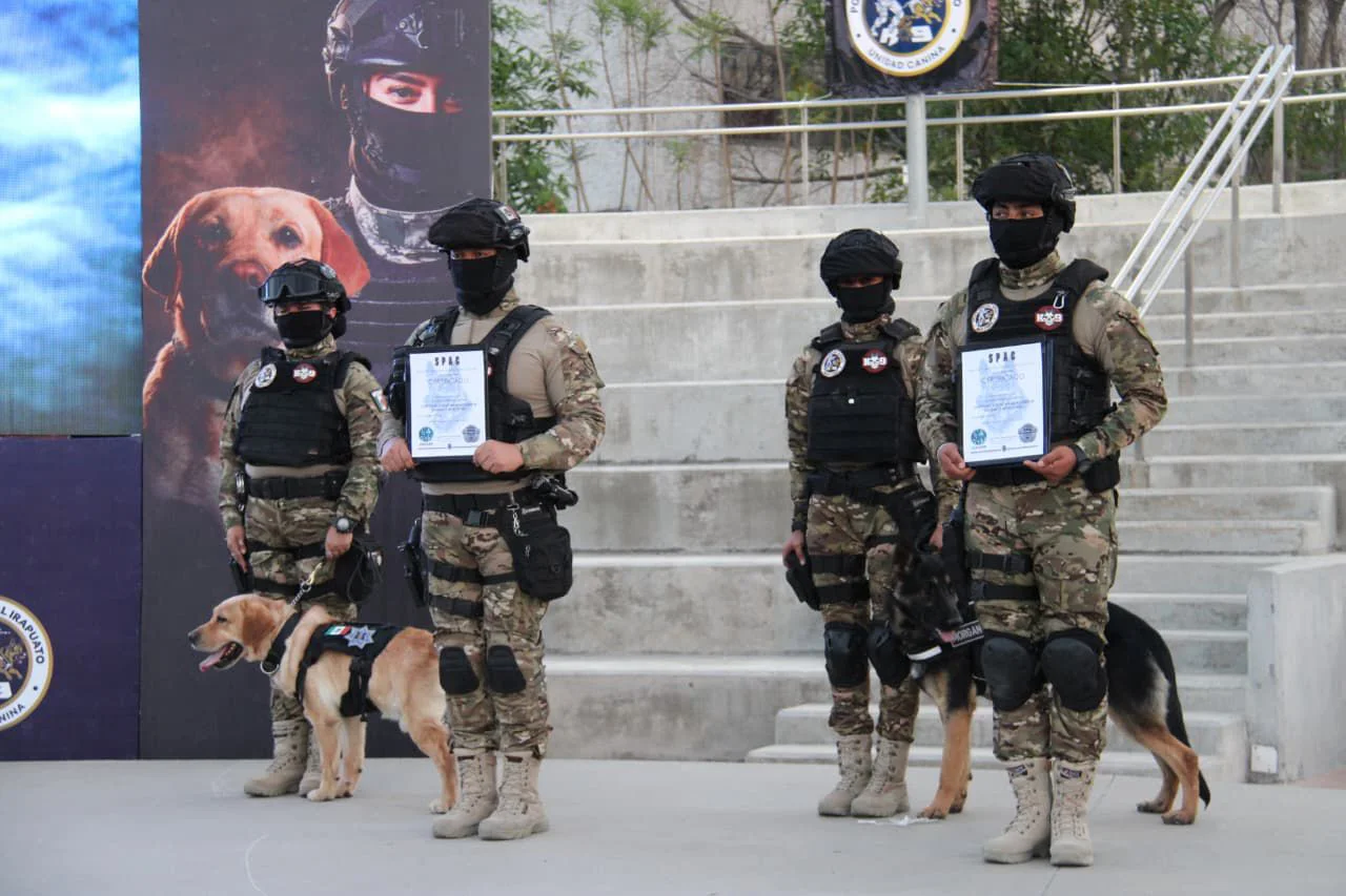 WhatsApp Image 2026-03-11 at 21.14.15