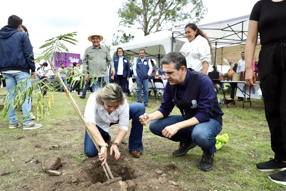 DIF ESTATAL PROYECTOS APASEO EL ALTO
