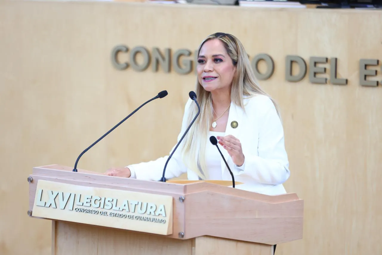 WhatsApp Image 2025-11-27 at 15.16.39 (2)