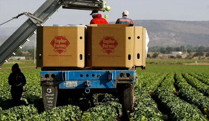taylor-farms