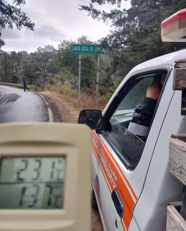 WhatsApp Image 2025-01-08 at 15.38.42