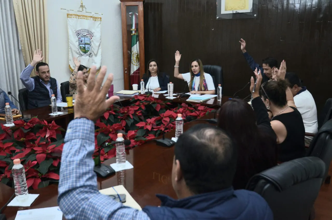 WhatsApp Image 2024-11-14 at 16.43.32