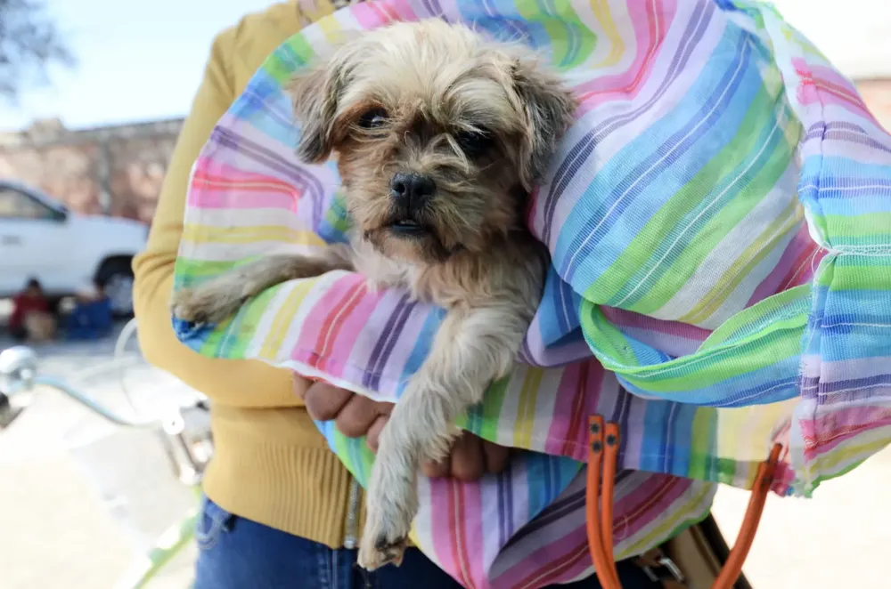 WhatsApp Image 2025-04-02 at 7.24.21 PM (1)