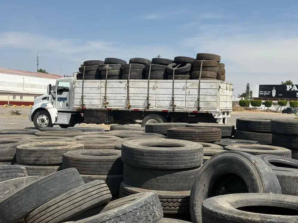 WhatsApp Image 2025-03-25 at 19.25.10