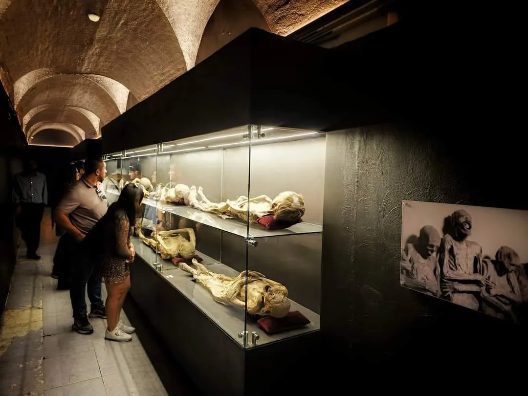 WhatsApp Image 2024-05-01 at 15.07.06 (5)