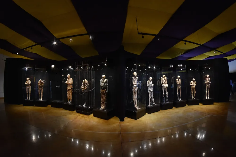 WhatsApp Image 2023-09-20 at 18.26.14