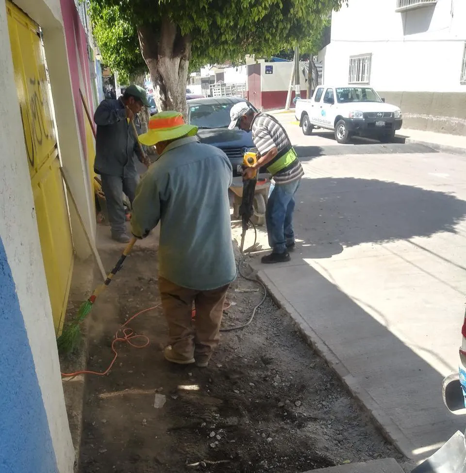 WhatsApp Image 2025-03-10 at 16.43.38 (1)