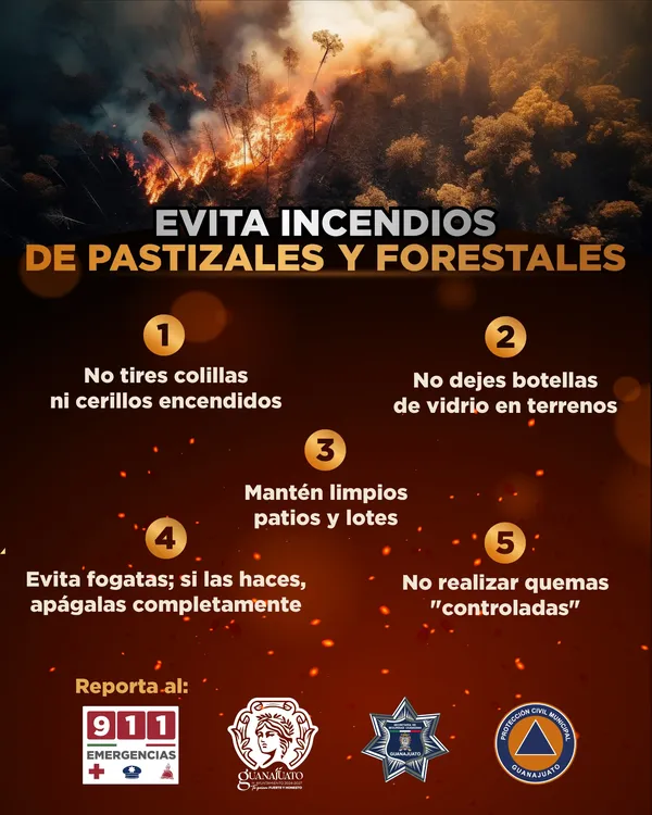 WhatsApp Image 2026-03-11 at 15.47.08