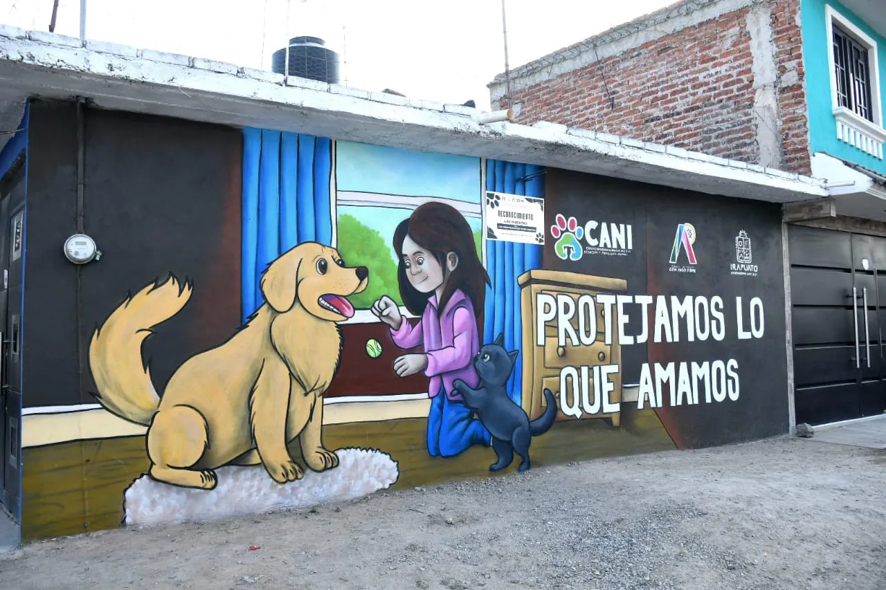 WhatsApp Image 2025-11-25 at 11.26.40