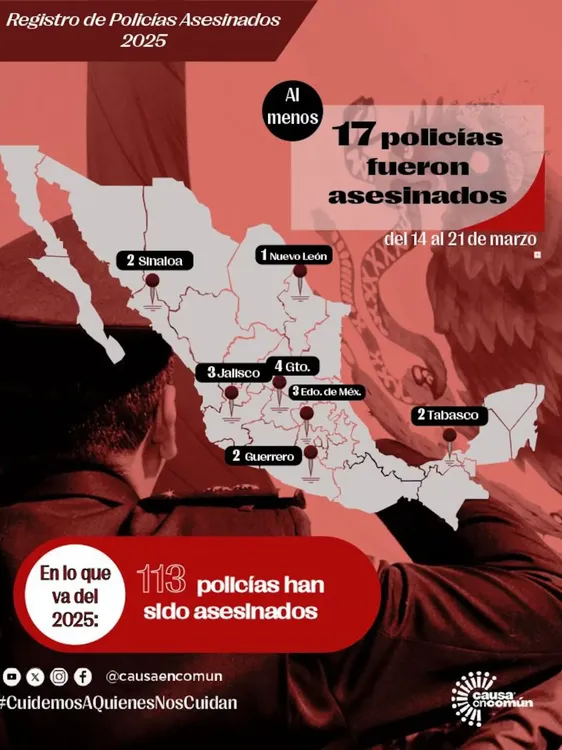 Causa Común copia