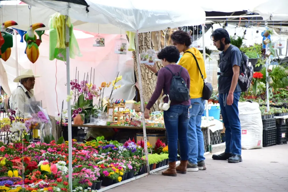 WhatsApp Image 2024-06-18 at 16.32.31 (1)