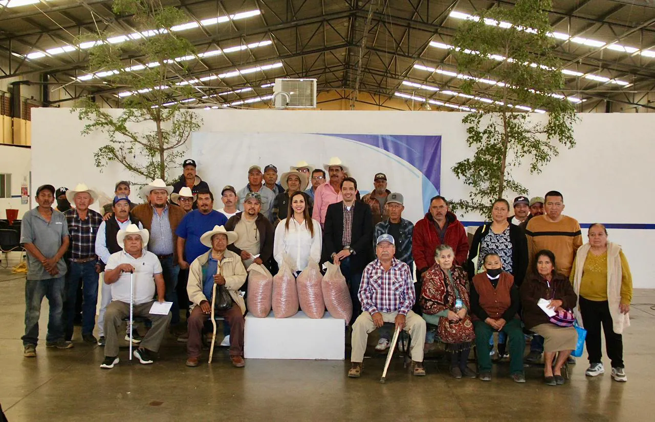 WhatsApp Image 2026-01-16 at 17.07.27