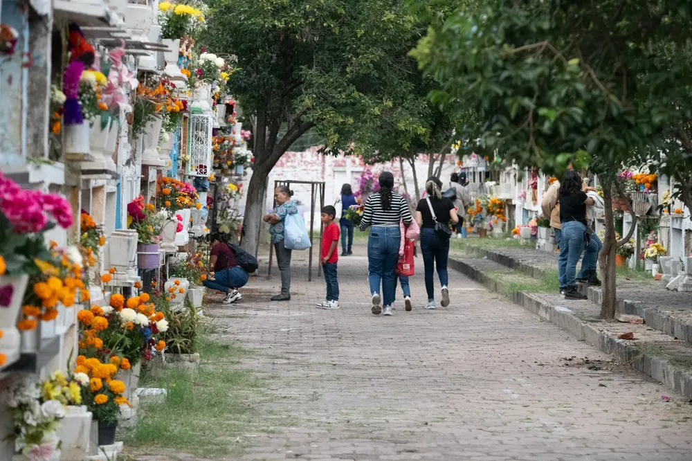 WhatsApp Image 2025-11-04 at 14.17.37